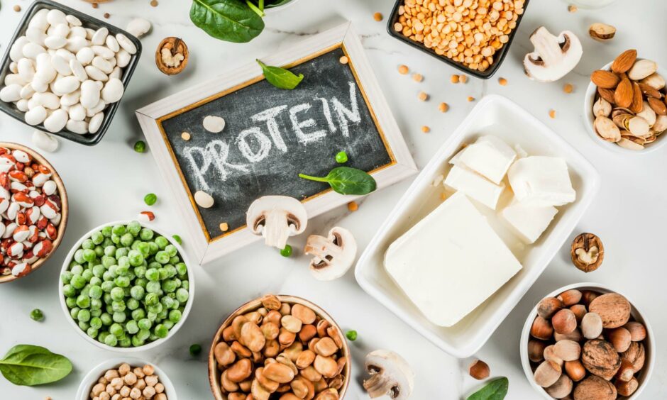 Vegetarians can get protein from sources like beans.